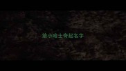 给小哈士奇起名字