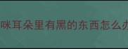 猫咪耳朵里有黑的东西怎么办