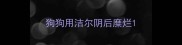 狗狗用洁尔阴后糜烂
