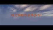 哈士奇能长多高多长
