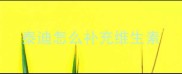 泰迪怎么补充维生素