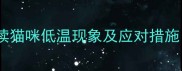 猫咪体温异常科学解读猫咪低温现象及应对措施附体温表使用指南