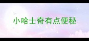 小哈士奇有点便秘