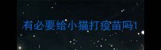 有必要给小猫打疫苗吗