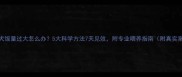 金毛犬饭量过大怎么办5大科学方法7天见效附专业喂养指南附真实案例