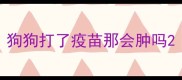 狗狗打了疫苗那会肿吗
