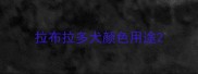 拉布拉多犬颜色用途