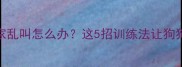 柴犬3个月在家乱叫怎么办这5招训练法让狗狗秒变乖宝宝