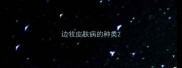 边牧皮肤病的种类