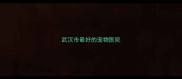 武汉市最好的宠物医院