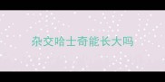杂交哈士奇能长大吗