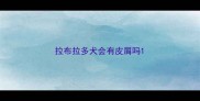 拉布拉多犬会有皮屑吗
