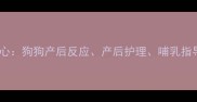 核心狗狗产后反应产后护理哺乳指导