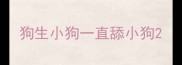 狗生小狗一直舔小狗