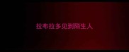 拉布拉多见到陌生人