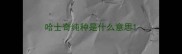 哈士奇纯种是什么意思