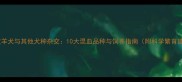 边境牧羊犬与其他犬种杂交10大混血品种与饲养指南附科学繁育建议