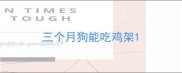三个月狗能吃鸡架