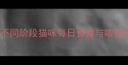 猫咪罐头科学喂养指南不同阶段猫咪每日食量与喂食技巧附营养搭配方案