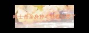 哈士奇全身掉毛腿哪里秃了