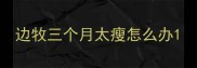 边牧三个月太瘦怎么办