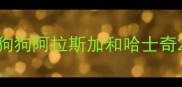 狗狗阿拉斯加和哈士奇