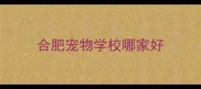 合肥宠物学校哪家好