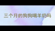 三个月的狗狗喝羊奶吗