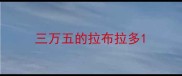 三万五的拉布拉多