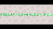 拉布拉多感冒能自愈吗家庭护理与就医指南附症状对照表