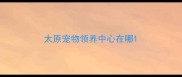 太原宠物领养中心在哪