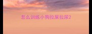 怎么训练小狗拉屎拉尿