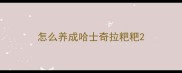怎么养成哈士奇拉粑粑