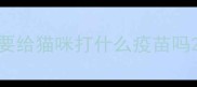要给猫咪打什么疫苗吗