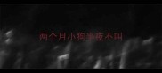 两个月小狗半夜不叫