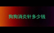 狗狗消炎针多少钱
