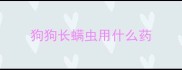 狗狗长螨虫用什么药