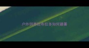 户外饲养拉布拉多如何避暑