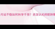 边牧幼犬两个月站不稳如何科学干预资深训犬师肥胖期护理全攻略
