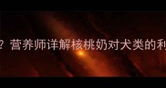 狗狗能喝核桃奶吗营养师详解核桃奶对犬类的利弊及正确喂养指南