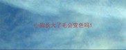小狗长大了毛会变色吗