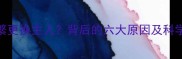 哈士奇频繁更换主人背后的六大原因及科学养宠指南