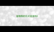 宠物狗的狂犬疫苗吗