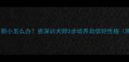 黑色拉布拉多胆小怎么办资深训犬师3步培养自信好性格附训练视频