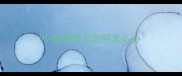 小泰迪晚上老叫怎么办