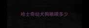 哈士奇幼犬狗粮喂多少