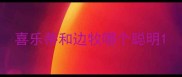 喜乐蒂和边牧哪个聪明