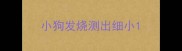 小狗发烧测出细小