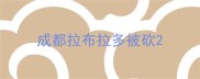 成都拉布拉多被砍