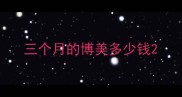 三个月的博美多少钱